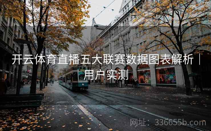 开云体育直播五大联赛数据图表解析｜用户实测  第2张