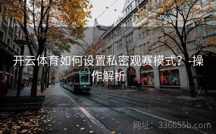 开云体育如何设置私密观赛模式？-操作解析
