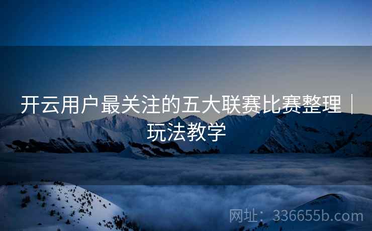 开云用户最关注的五大联赛比赛整理｜玩法教学  第2张