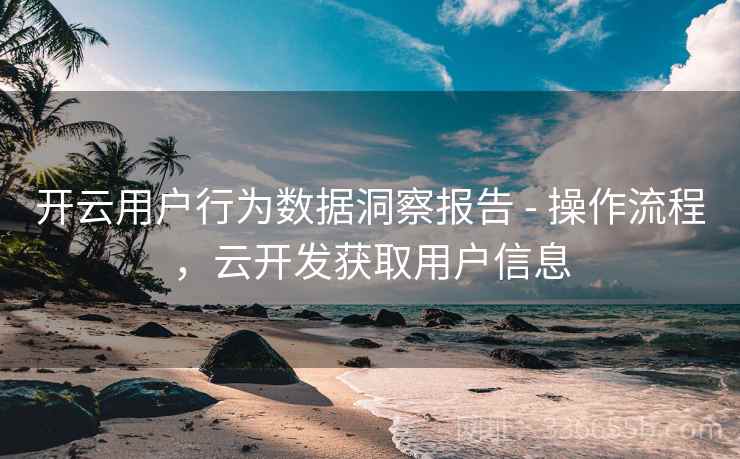 开云用户行为数据洞察报告 - 操作流程，云开发获取用户信息