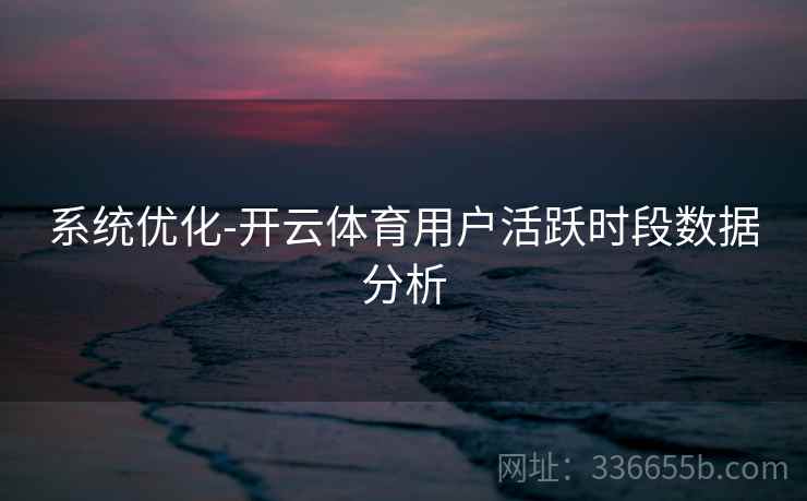 系统优化-开云体育用户活跃时段数据分析  第2张