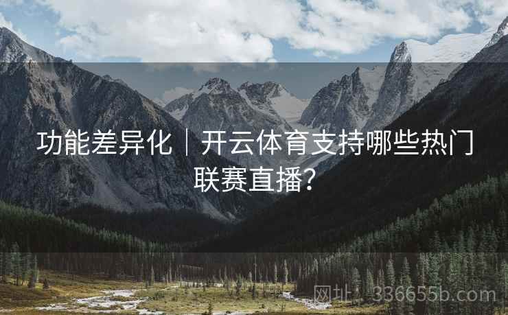 功能差异化｜开云体育支持哪些热门联赛直播？  第2张
